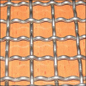 Low Carbon Steel/Mild Steel Crimped Wire Mesh Factory